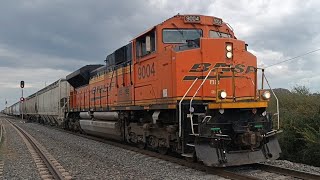 BNSF 9004 SD70ACe de visita en distrito viborillas [upl. by Anedal]