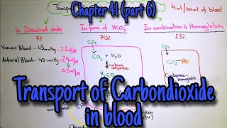 Transport of CO2 in blood Haldane Effect Respiratory exchange ratio Chapter 41 part 6 Guyton [upl. by Saideman]