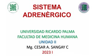 Sistema adrenérgico  Farmacología  Unidad II  sem 3 [upl. by Lupien]