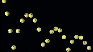 Bouncing Tennis ball Sound Effect [upl. by Quenna709]