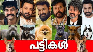 🐩🤯ഞെട്ടിപ്പോകും🙆‍♀️ നടന്മാരുടെ കോടികളുടെ പട്ടികളെ കണ്ടാൽ 🤯 💰TOP 10 LUXURY DOGS of Malayalam Actors🐩🤯 [upl. by Halet]