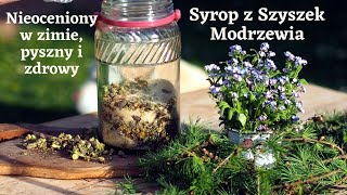 Syrop z Szyszek Modrzewiazdrowie [upl. by Platas]