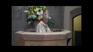 Homily Archbishop Carlo Maria Viganó visits the diocese [upl. by Anirbus]