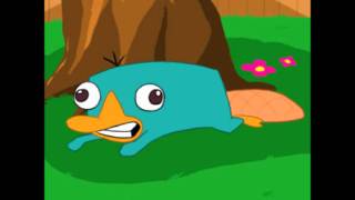 Perry the Platypus Noise [upl. by Nytnerb602]