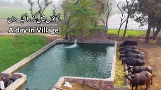 Beautiful Village in Pakistan  Best Lifestyle [upl. by Alegre291]