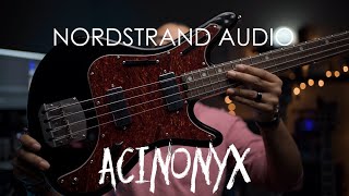 Nordstrand Audio Acinonyx Review [upl. by Tatianas]