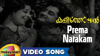 Kalithozhan Movie Songs  Prema Natakam Song  Prem Nazir Sheela [upl. by Hars]