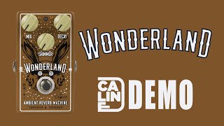 Caline  Wonderland Ambient Reverb Machine  Demo 5 Series [upl. by Ahsi219]