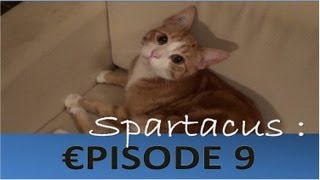 Spartacus ma vie de chat  Episode 9  quotLa Crisequot [upl. by Salguod]