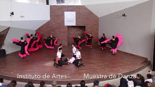 el jabalí y pinotepa nacional Muestra Danza 2017 [upl. by Matronna]