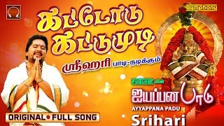 IRUMUDI THANGI  Pallikkettu  Ayyappa Devotional Song Tamil  Video Song [upl. by Jennie]