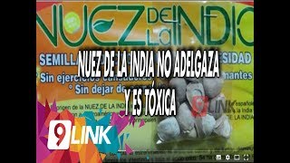 C9  Nuez de la india no adelgaza y es tóxica [upl. by Handal346]