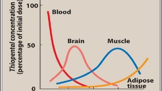 General Anesthetics 2  Pharmacology [upl. by Haimarej654]