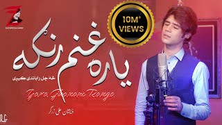 Yar Ghanam Ranga Ma Osata da Maro Strgu da Janga  Zeeshan Ali Zargar New Song 2023 [upl. by Adnilemreh]