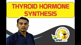 THYROID HORMONE SYNTHESIS  PHARMACOLOGY  GPAT2020  PHARMACIST  DRUG INSPECTOR [upl. by Assertal]