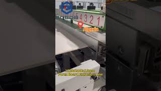 BOGDA Building Model Material PVC Foamex Board Making Machine [upl. by Christiansen]