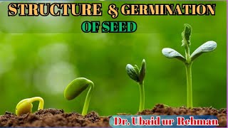 147 Structure of Seed  Germination of Seed Epigeal amp Hypogeal  Class 10th  Biology [upl. by Ecnarolf]