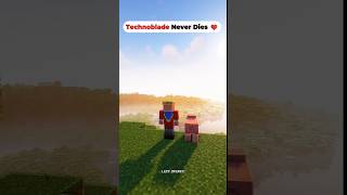 MINECRAFT SACRIFICE 🥹 TECHNO BLADE 🥵  SAD 😢 VIDEO trending shorts viralshort viral minecraft [upl. by Aizan]