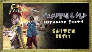 Santigold  Disparate Youth Switch Remix Official Audio [upl. by Aynnat]