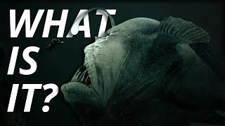 The Creepiest UNEXPLAINED Sounds Ever Heard in the Ocean [upl. by Nryhtak]