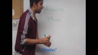 Sympathetic Acetylcholine mACh Receptor Mnemonic Video [upl. by Derward]