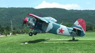 ✈ GREAT Antonov AN2  world biggest singleengine biplane  DDay Sisseln Switzerland [upl. by Heer906]