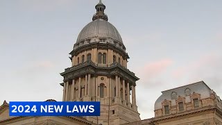 New laws Illinois 2024 Minimum wage increase ban on book bans and more [upl. by Athene]