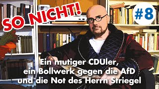 Ein mutiger CDUler ein Bollwerk gegen die AfD und die Not des Herrn Striegel [upl. by Schuh]