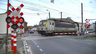 Spoorwegovergang BaasrodeZuid B  Railroad crossing  Passage à niveau [upl. by Eldrida]