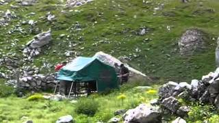 une transhumance dans les Pyrénées [upl. by Feola136]