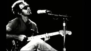 JJ Cale Live 2004 Full Show [upl. by Ahsilla]