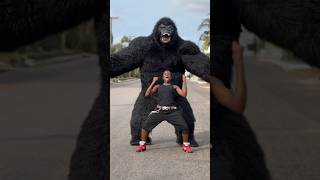 Amapiano dance with King Kong endurancegrand [upl. by Ontine]