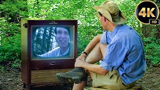 Bill Nye The Science Guy  Full Episodes  FORESTS  S02E15  4K Remastered [upl. by Aiseneg]