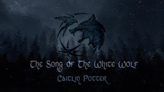 The Witcher  The Song of the White Wolf [upl. by Ransome]