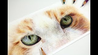 EASY How to Draw CAT EYES [upl. by Jarlathus]