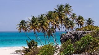 Worlds Best Beaches Bottom Bay  Barbados 4KUHDUltraHD [upl. by Cesaro]