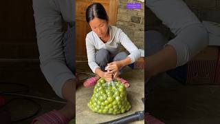 Fruit Packaging New Idea 🕹️ Amazing Idea  ytshorts package shorts viralreels AGGACHOKRO [upl. by Annawal]