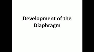 Development of diaphragm [upl. by Richelle]