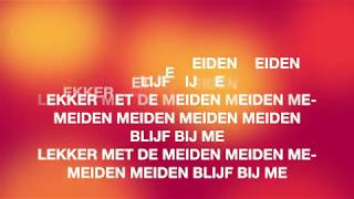 MEROL  Lekker met de meiden lyrics [upl. by Ihsar]