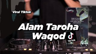 ALAM TAROHA WAQOD  VIRAL TIKTOK [upl. by Pelagias]