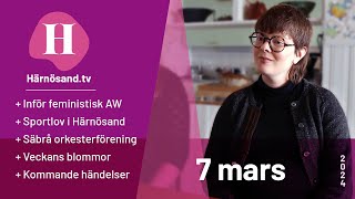 Härnösandtv  7 mars 2024 [upl. by Eiknarf]