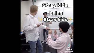 Stray Kids being Stray kids for 57 seconds kpop straykids strays straykidscomeback [upl. by Ellevehs951]