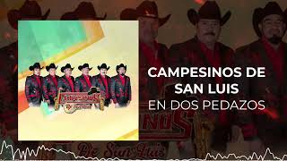 Los Campesinos de San Luis  En Dos Pedazos 2022 [upl. by Llesram949]