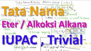 Tata Nama Alkoksi Alkana Eter IUPAC dan Trivial [upl. by Bartholemy38]