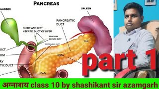 pancrease in humanGlucagoninsuline alpha beeta celldibetiesamylase lypasmixed gland [upl. by Stewardson]