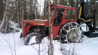 Massey Ferguson 35 in forest [upl. by Aiekahs]