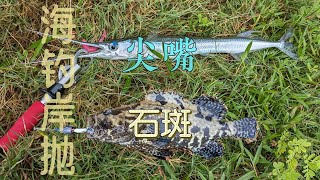 德州钓尖嘴啦！Needlefish on texas rig  Shore jigging Ep 9 [upl. by Olivann]