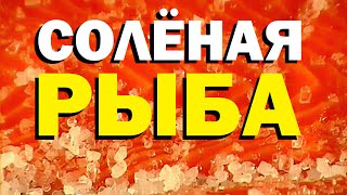 Галилео Соленая рыба [upl. by Nimad]