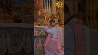 Holy Mass celebrated at the Altar of Most Holy Crowned Saint Joseph of Palmar [upl. by Zins]