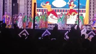 VIBGYOR International school annual  function this is my class dance [upl. by Neelie177]